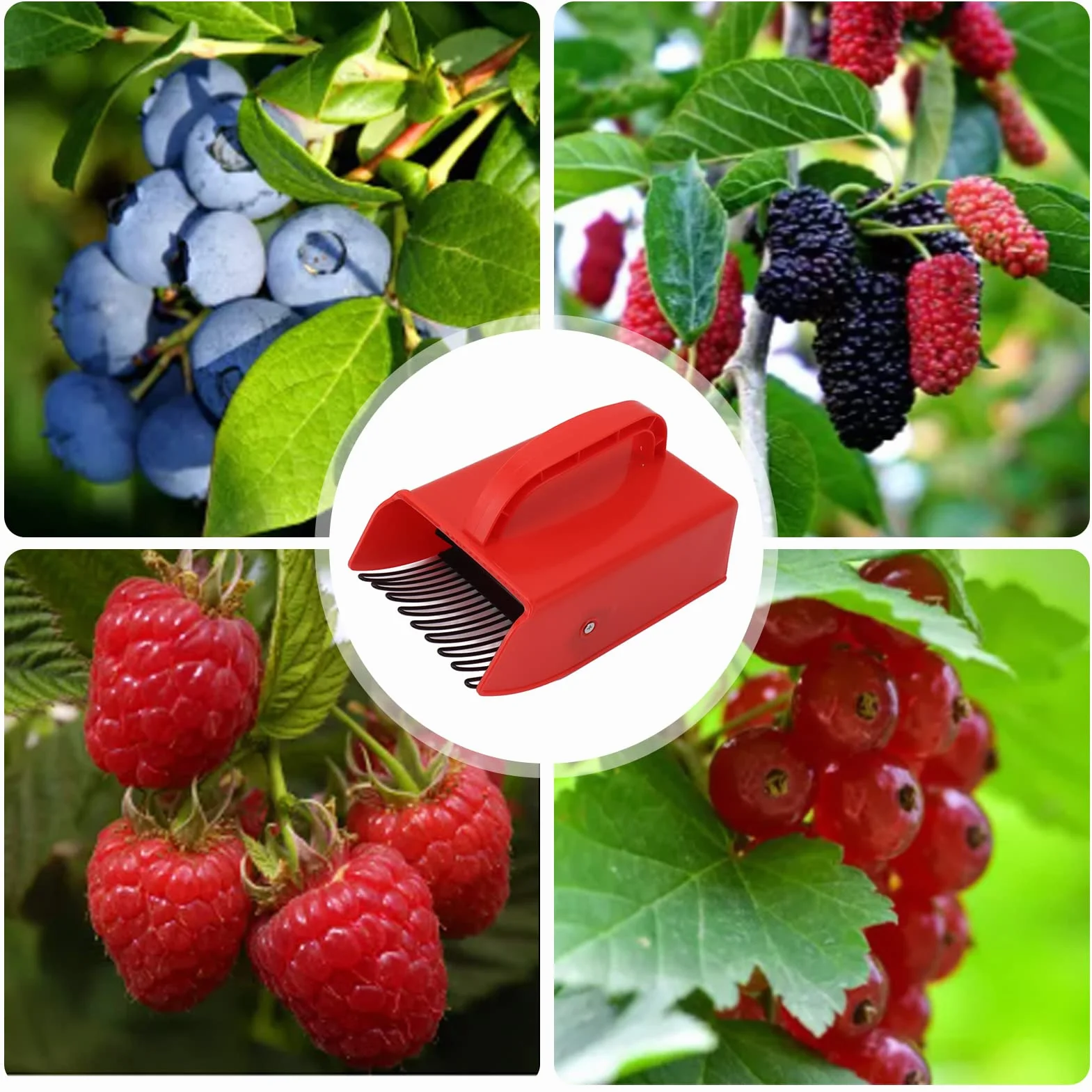 Zbieracz Jagód z Metalowym Grzebieniem, Plastikowa łyżka do Zbierania Jagód z Ergonomicznym Uchwytem, ​​grabie do Zbierania dla łatwiejszego Zbierania Jagód, łatwiejsza łyżka do