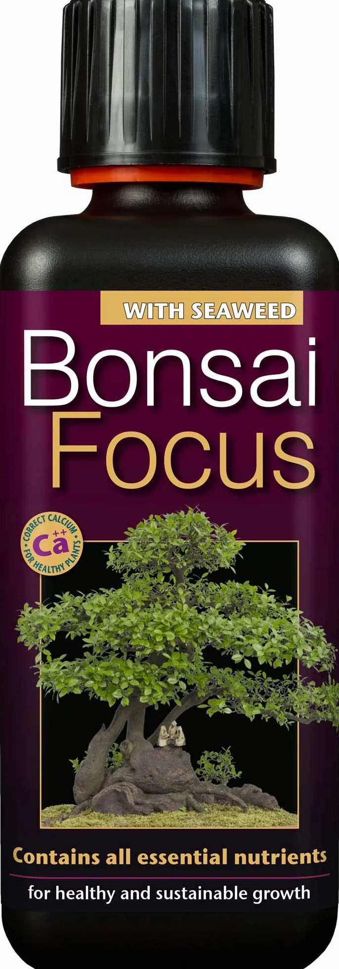 Bonsai Focus koncentrat nawozu płynnego 300 ml