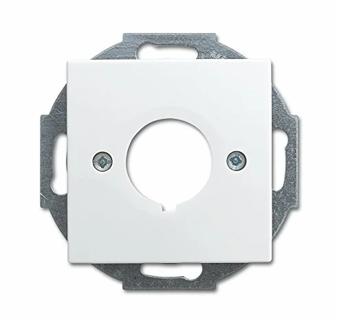Busch-Jaeger 2533-914 Zentralscheibe mit Tragring, Busch-balance Si, Alpinweiß