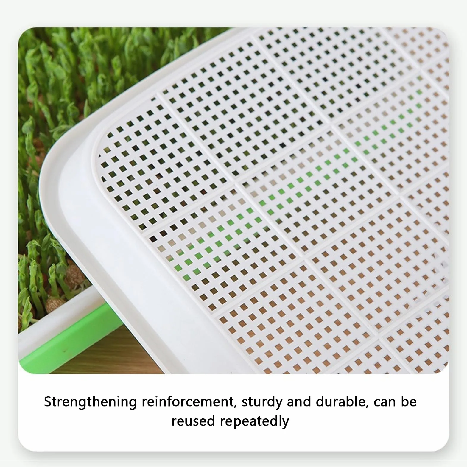 Zestaw misek do uprawy mikrogreens 22 cm, rzeżucha, kiełki