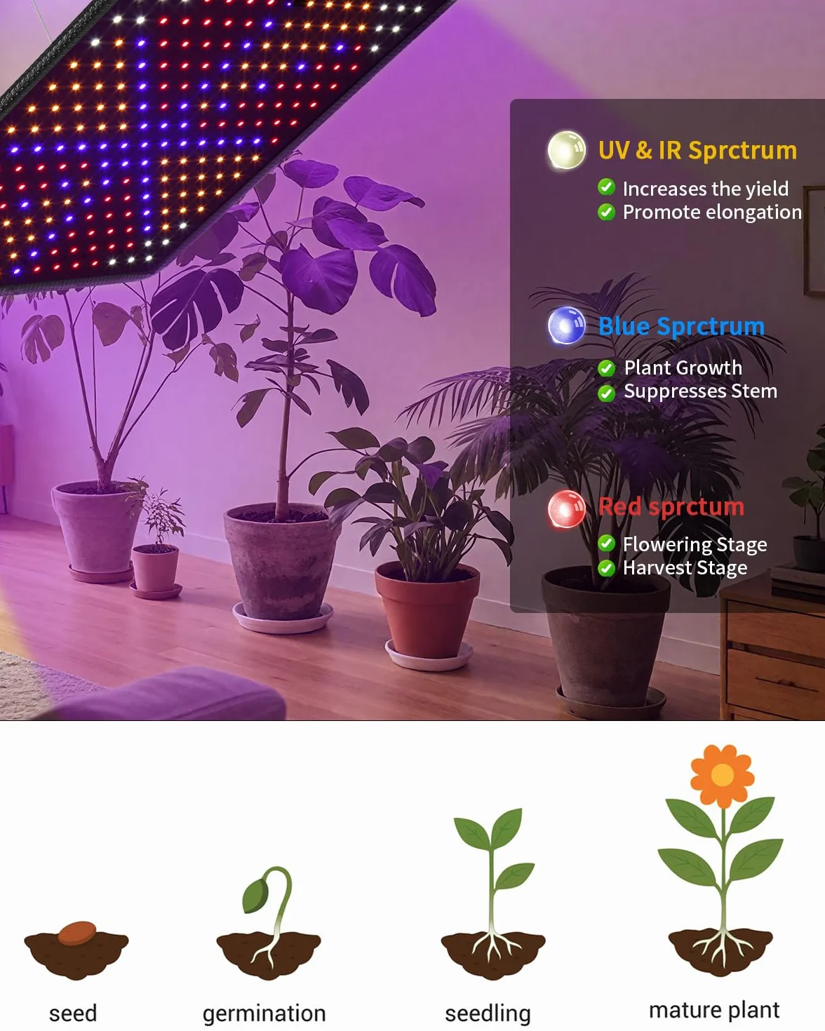 Lampa LED do uprawy roślin PERMUST, pełne spektrum światła UV IR, 60 x 60 cm, do roślin pokojowych i szklarni, warzyw i kwiatów, 256 diod LED, 45 W, kabel 3 m