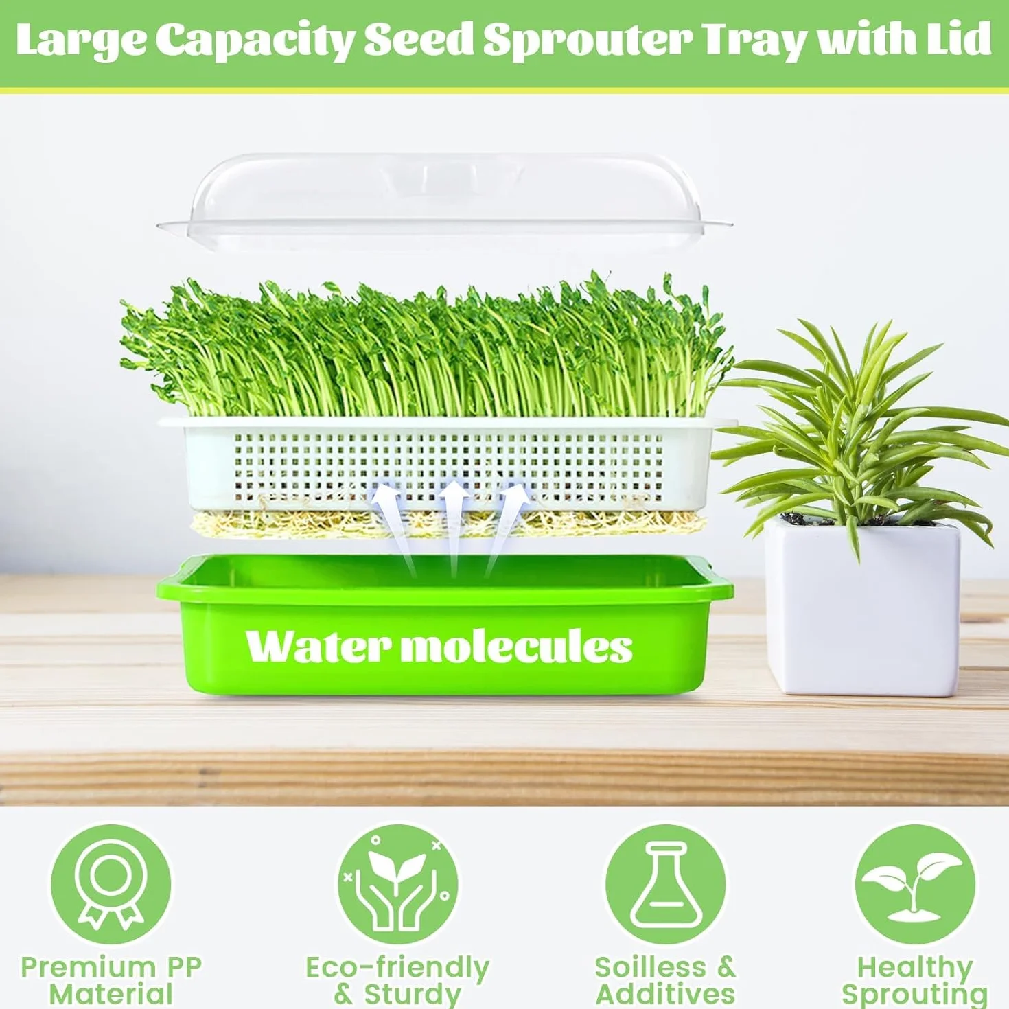 Tace do kiełkowania nasion z pokrywką 32 cm x 26 cm duża pojemność bez BPA zdrowy propagator hydroponiczny 4