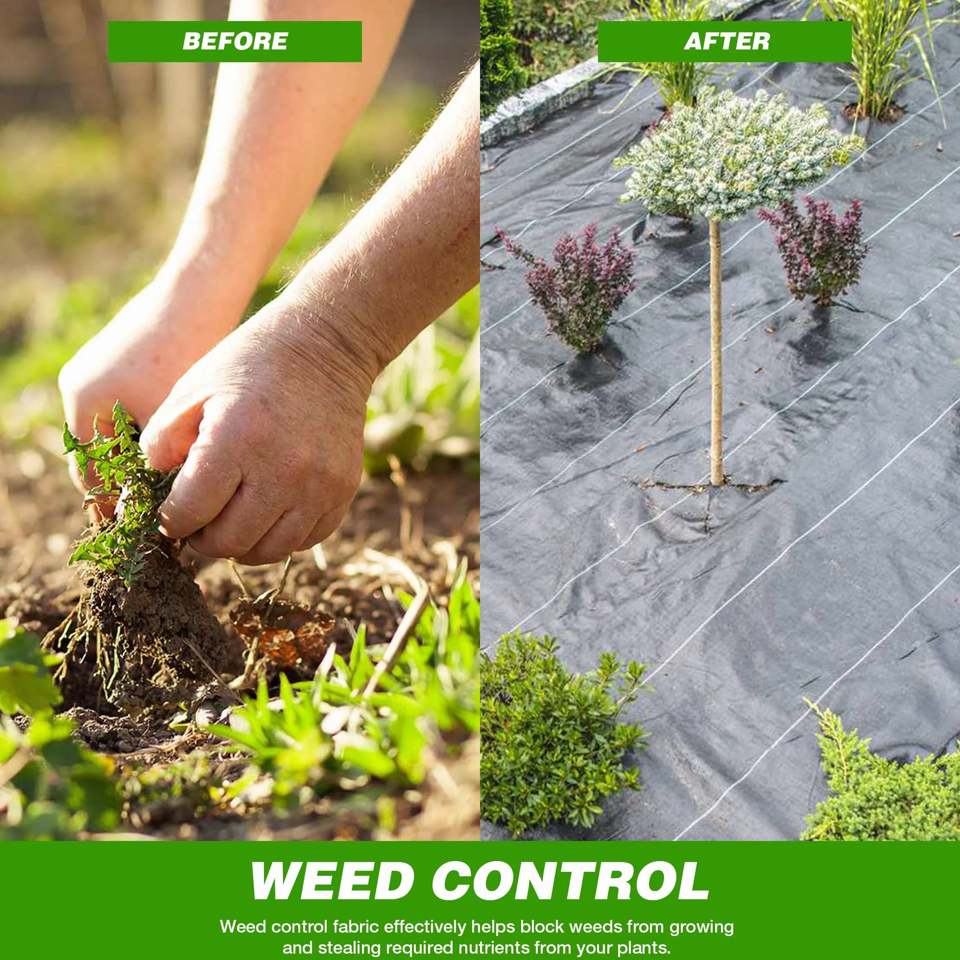 Płótno przeciw chwastom GroundMaster 2 m x 5 m 100 g/m² wodoodporne do ogrodu