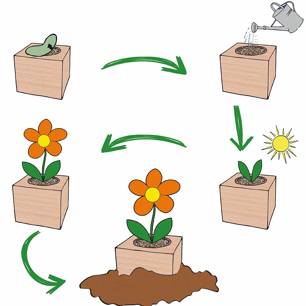 Feel Green Ecocube Zestaw do Uprawy, Wielokolorowy, 1 Zestaw