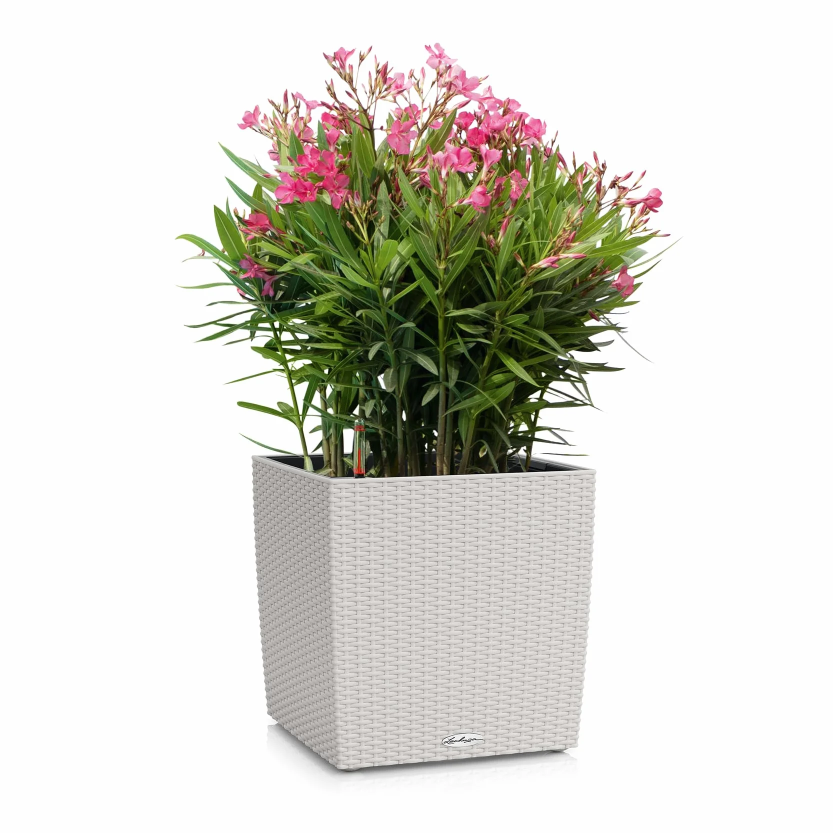 Lechuza Cube Cottage 40 Jasnoszary Donica z Systemem Nawadniania