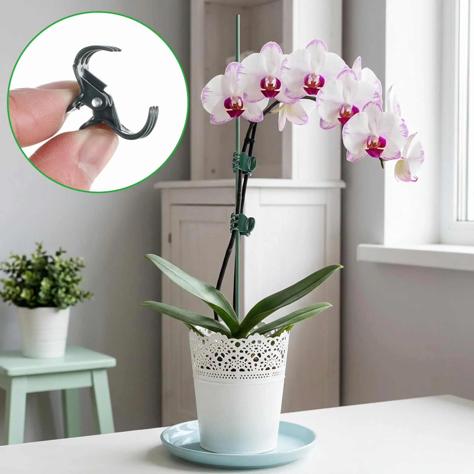 Słupki podtrzymujące rośliny 20 szt. do roślin wewnętrznych i zewnętrznych, uchwyt z klipsami do orchidei, pomidorów, róż, kwiatów