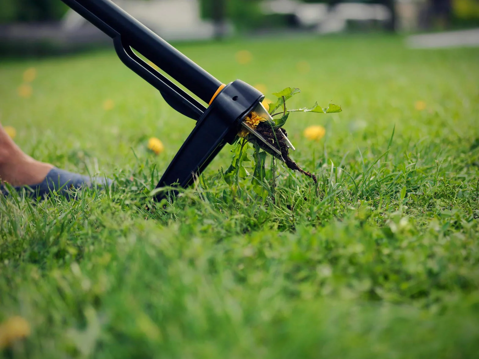 Fiskars Xact Chwastownik