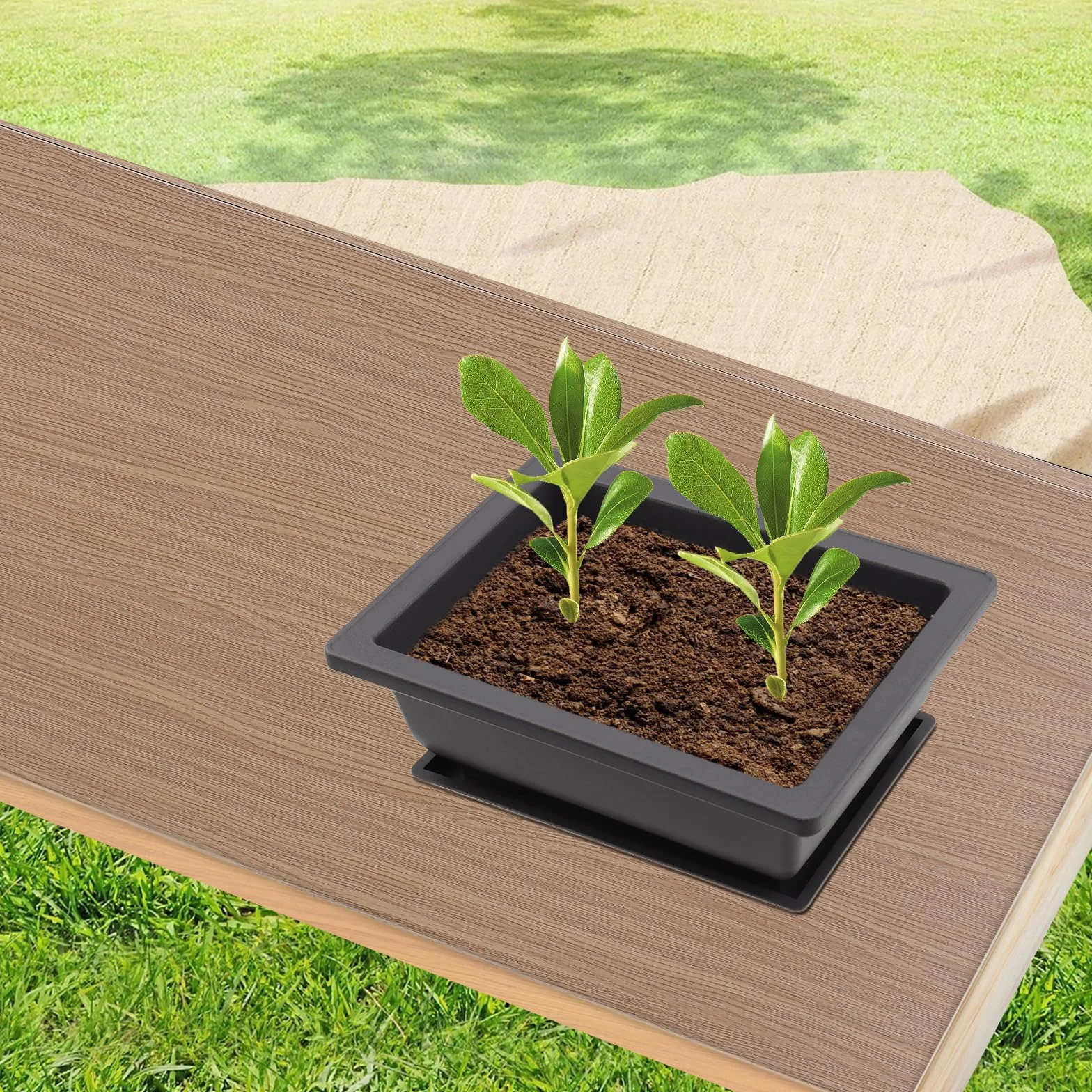 6 Doniczek Treningowych Bonsai 16,5 x 12,3 cm z Podstawk?, Plastikowa Doniczka na Ro?liny Do Salonu, Biura, Ogrodu