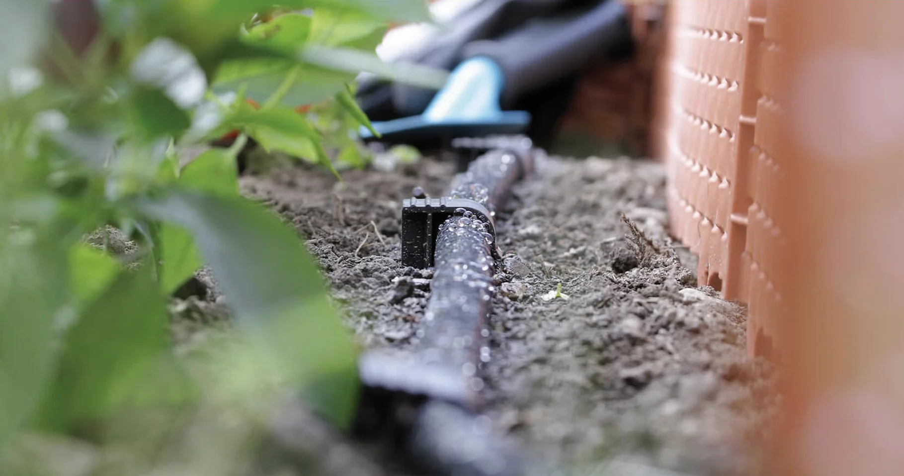 GARDENIX opakowanie 50 AquaPEG wąż ogrodowy kotwica uziemienia Spike kotwica montażowa do węża kroplowego Wtyczka węża perłowego widelec