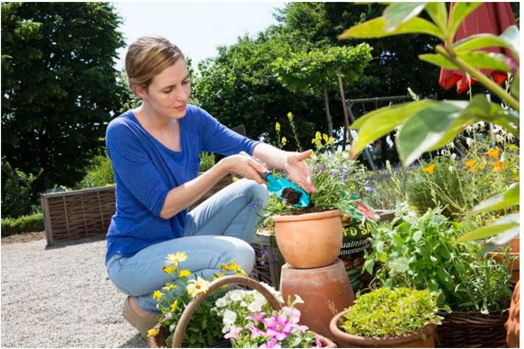 Gardena Classic łopatka do kwiatów 8 cm stal zabezpieczona przed korozją ergonomiczna rękojeść 8950-20