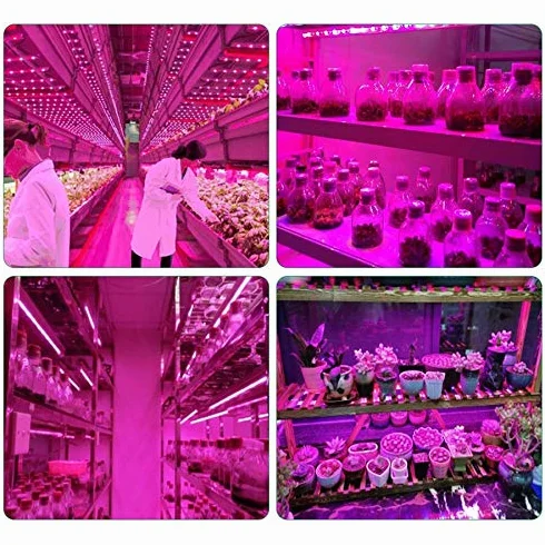 LED pasek świetlny 2835 5V USB 100 cm do roślin szklarniowych hydroponika