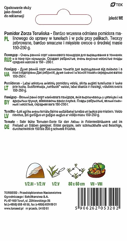 Zorza Toruńska nasiona pomidorów – bardzo wcześnie dojrzewające, pyszne żebrowane owoce 150-250 g, idealne do tuneli i pól, certyfikowana jakość, idealne do siewu wiosną (0,5 g)