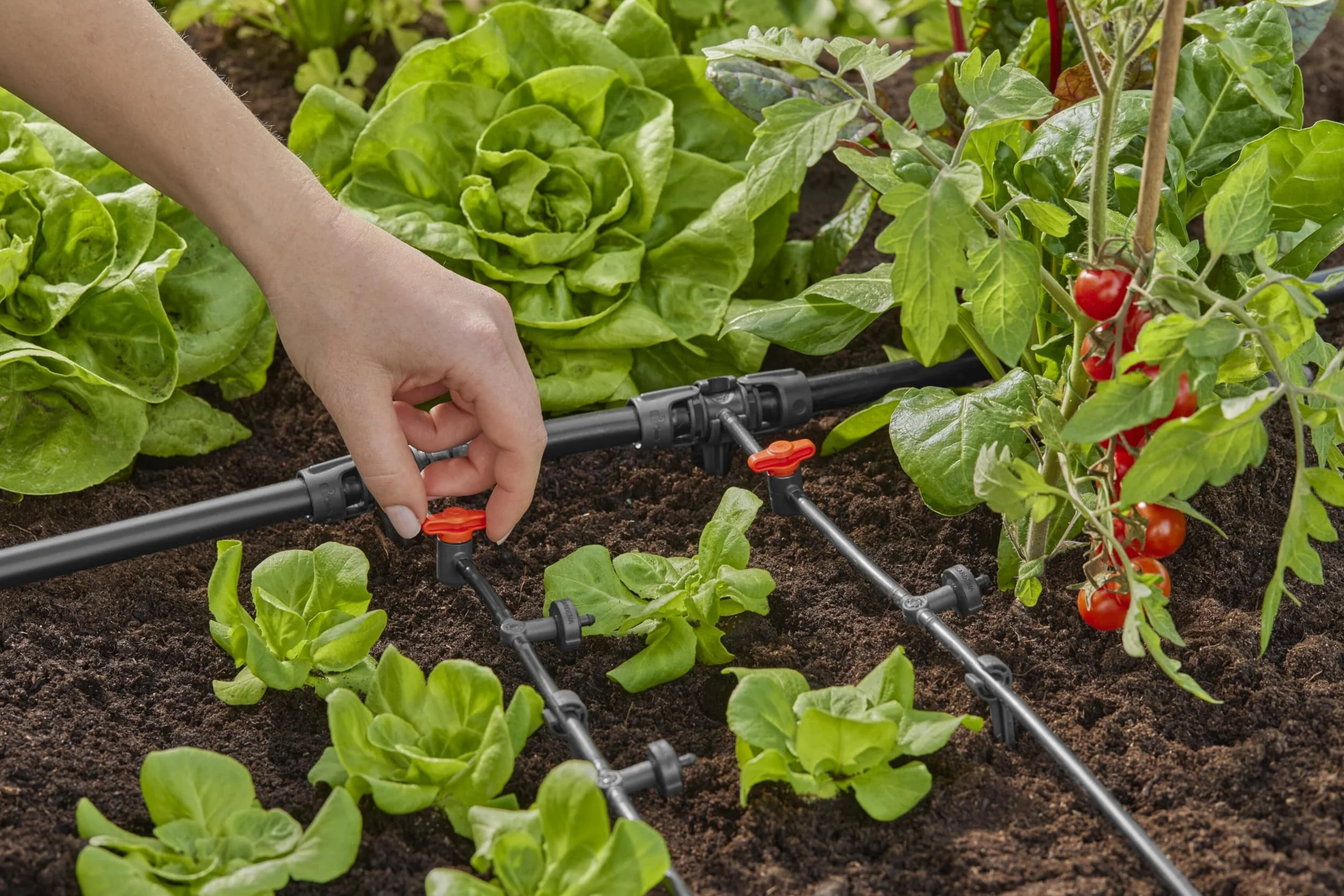 Gardena system Micro-Drip trójnik redukcyjny: Praktyczne połączenie T do przejścia rury 13 mm w rurę 4,6 mm, technika połączeniowa Quick & Easy, możliwość ponownego użycia (13204-20)
