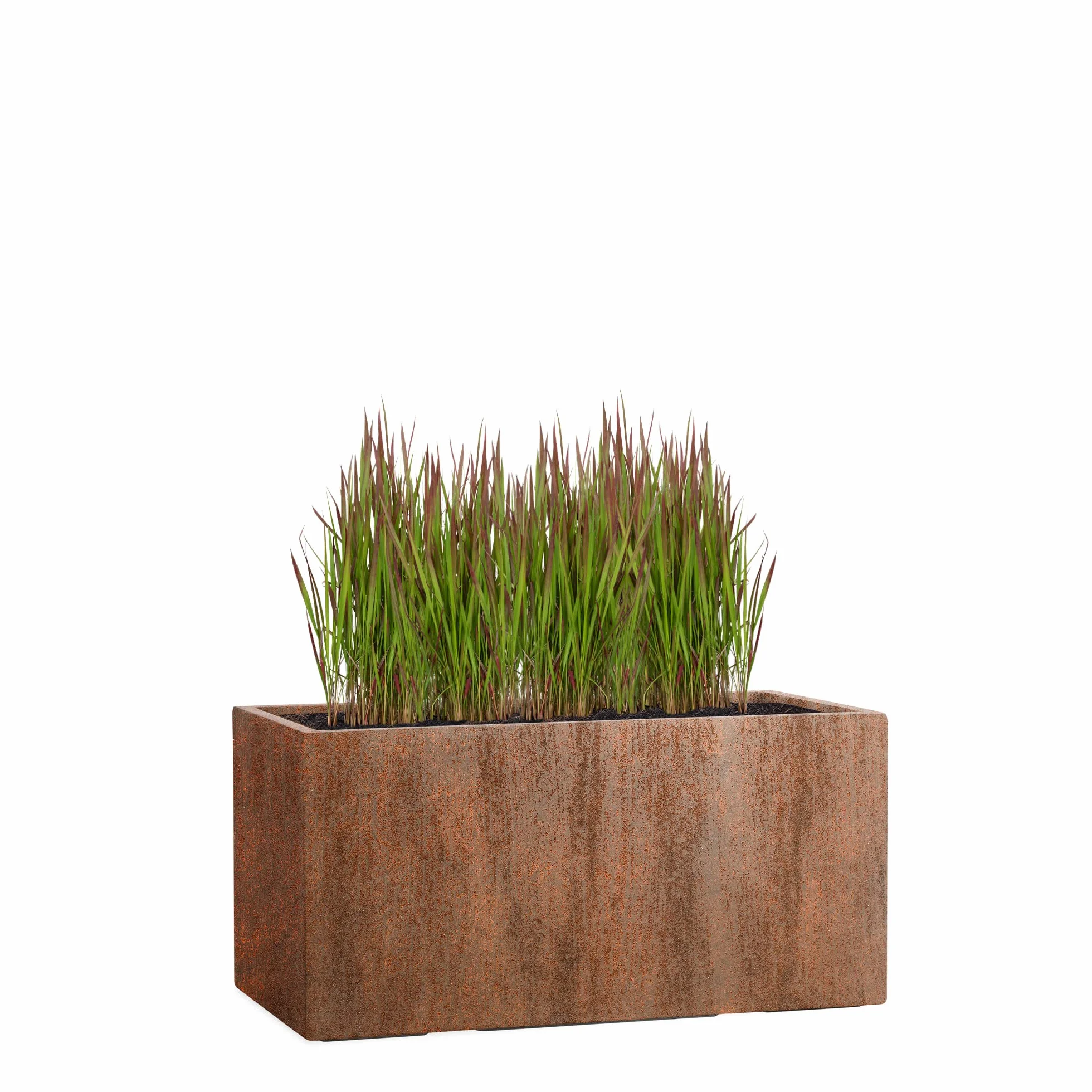 Pflanzwerk Donica z włókna szklanego tub 30 x 60 x 30 cm XXL odporna na mróz ochrona przed UV