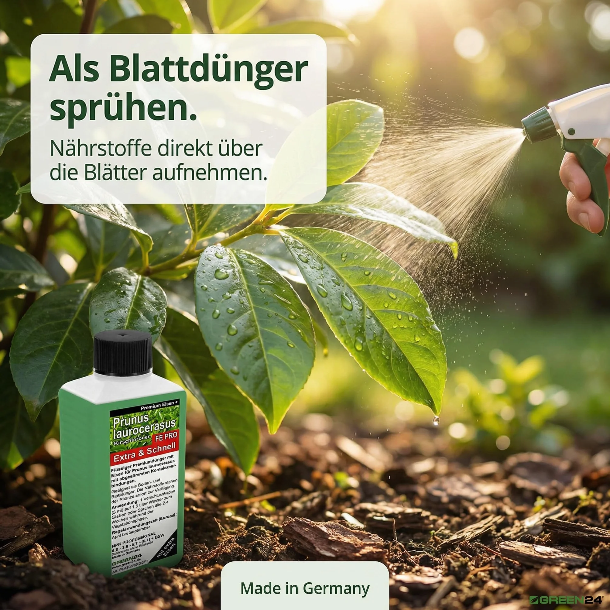 GREEN24 Nawóz laurowirowy FE PRO z żelazem Prunus laurocerasus NPK, nawóz płynny premium
