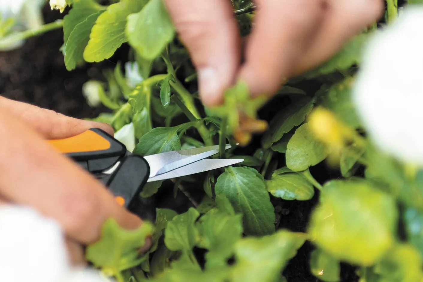 Fiskars Solid Sekator Teleskopowy 21.5 cm Pomarańczowy Czarny