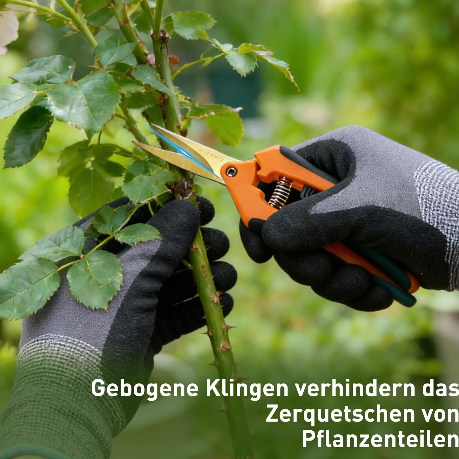 2 nożyce ogrodowe z ostrzami powlekanymi tytanem, precyzyjne cięcie, nożyce do róż, bonsai, nożyce do kwiatów, przycinania gałęzi drzew, kwiatów, owoców (proste + wygięte)