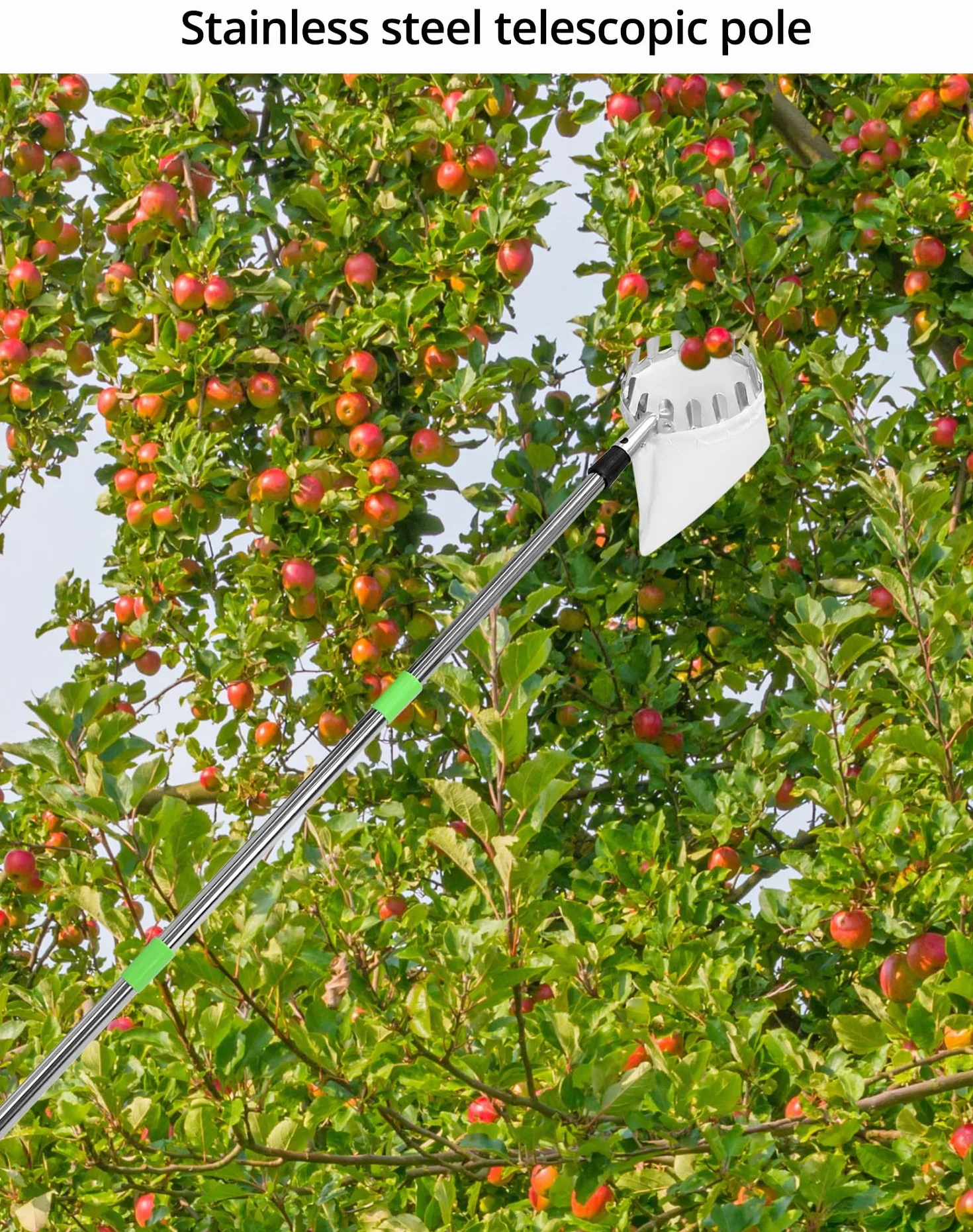 QWORK Zbierak do owoców 4M z trzonkiem teleskopowym, stal nierdzewna