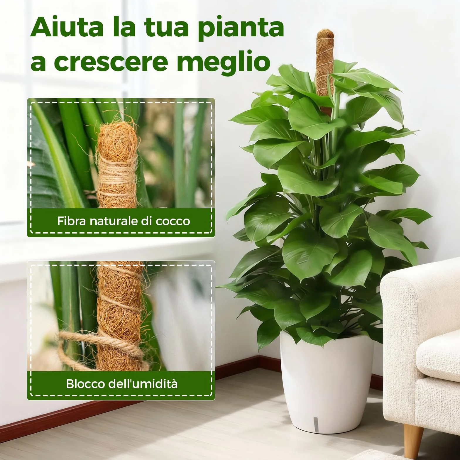 Bamworld Słupek do mchu, 2 szt., 69,8 cm, do podparcia roślin, monstera Coco Coir, wsparcie dla małych roślin pnących doniczkowych do wzrostu w górę