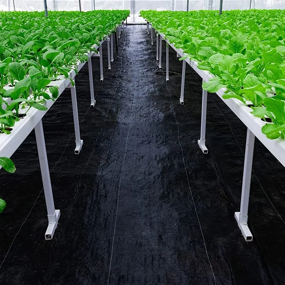 John Green Agrowłóknina ściółkująca czarna 70g/m2 0,8x50m