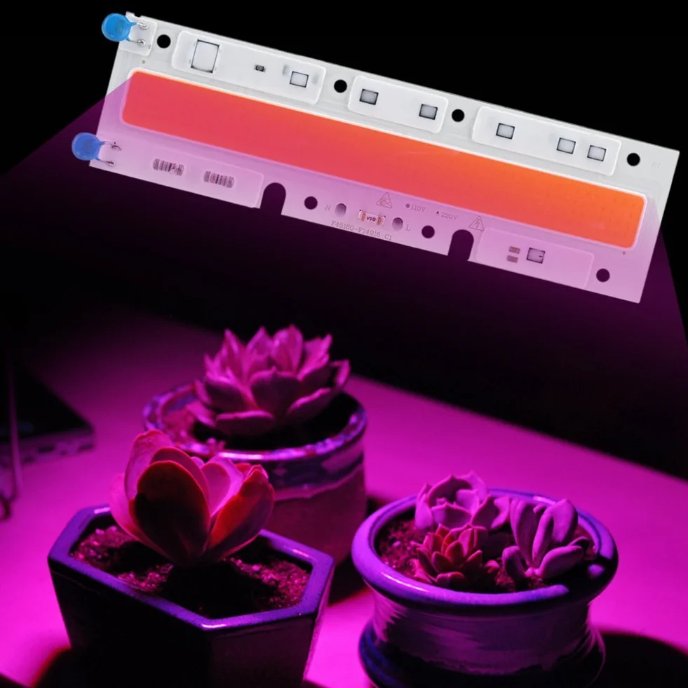 Pełne spektrum LED Oświetlenie do uprawy roślin COB Chip 220V 30/50/70W Hydroponika szklarniowa doniczkowe