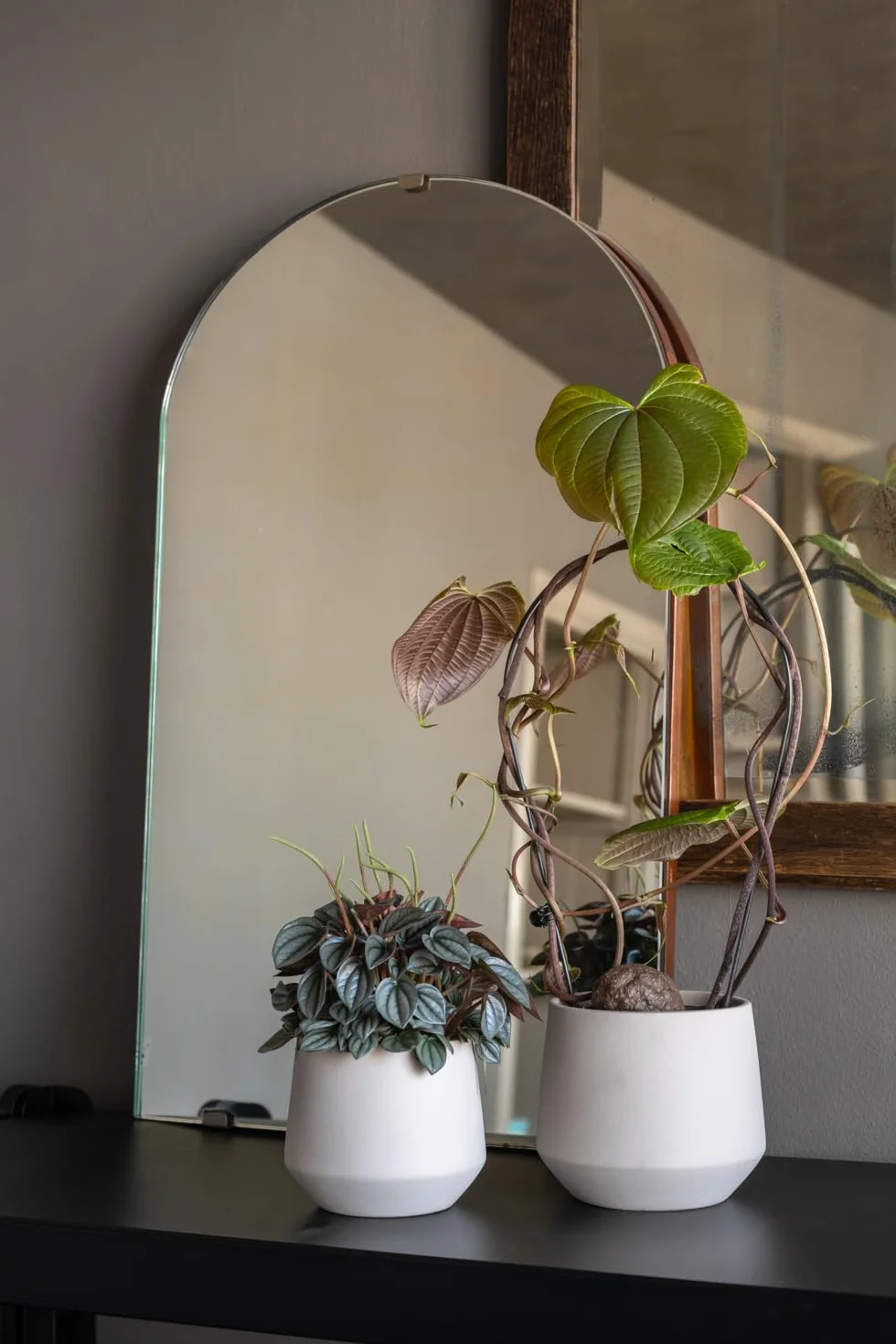 Pottery Pots Doniczka Julia M, Funghi Beige | Ø: 15 x wys.: 15