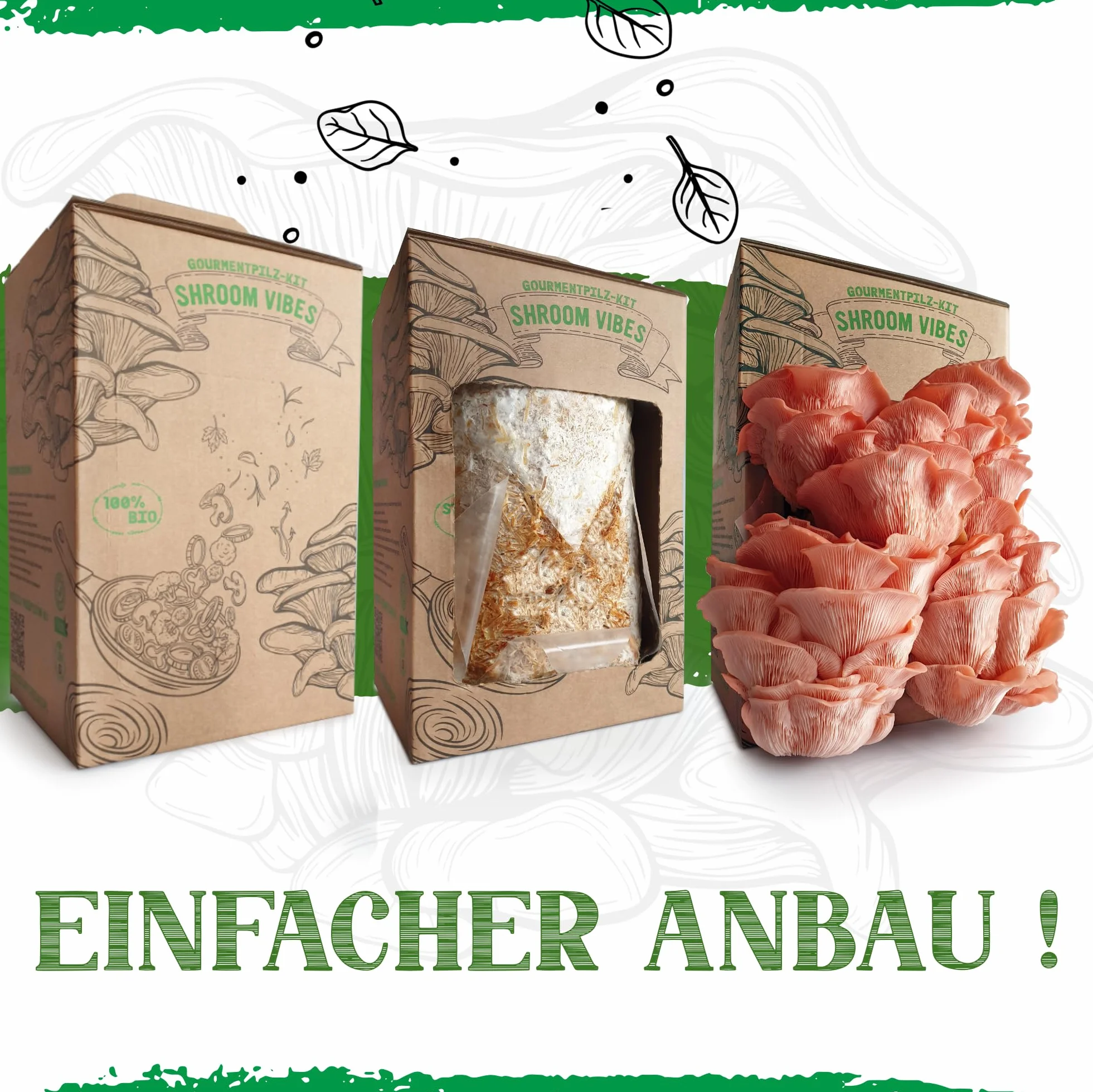 Zestaw do uprawy grzybów organicznych 100% biologiczny uprawa przez cały rok