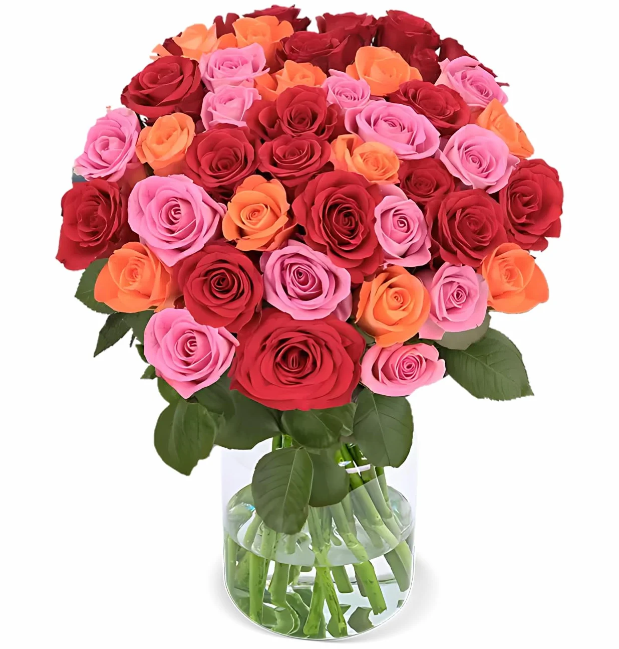 Blume Ideal Bukiet róż, 40 róż w kolorze czerwonym, różowym i pomarańczowym, Ø 40-50 cm, najwyższa jakość, 7-dniowa świeżości, idealny prezent kwiatowy