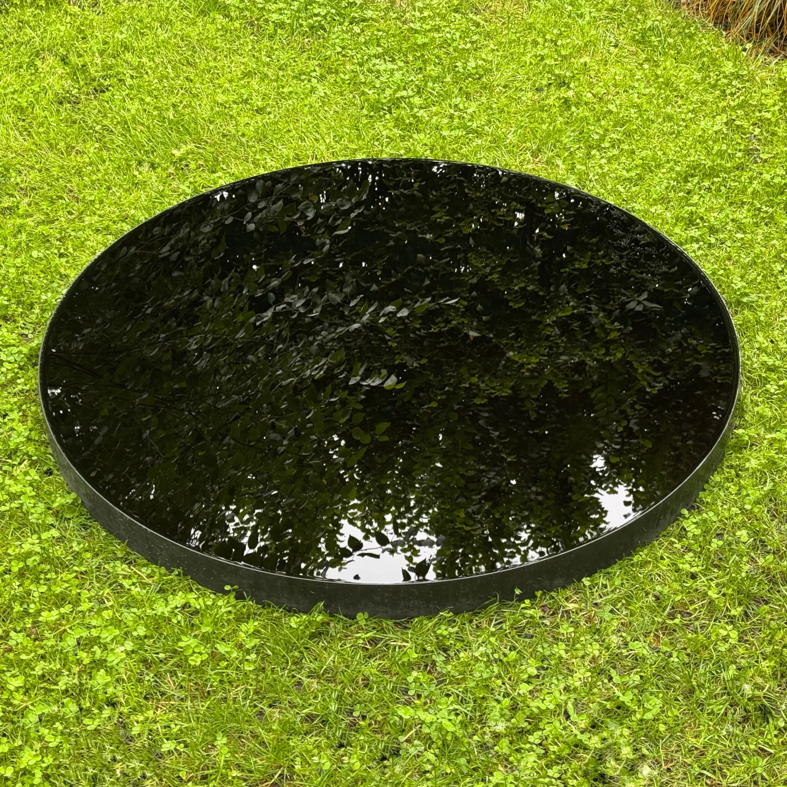 Czarny Barwnik do Oczka Wodnego DYOFIX Pond Black 35g
