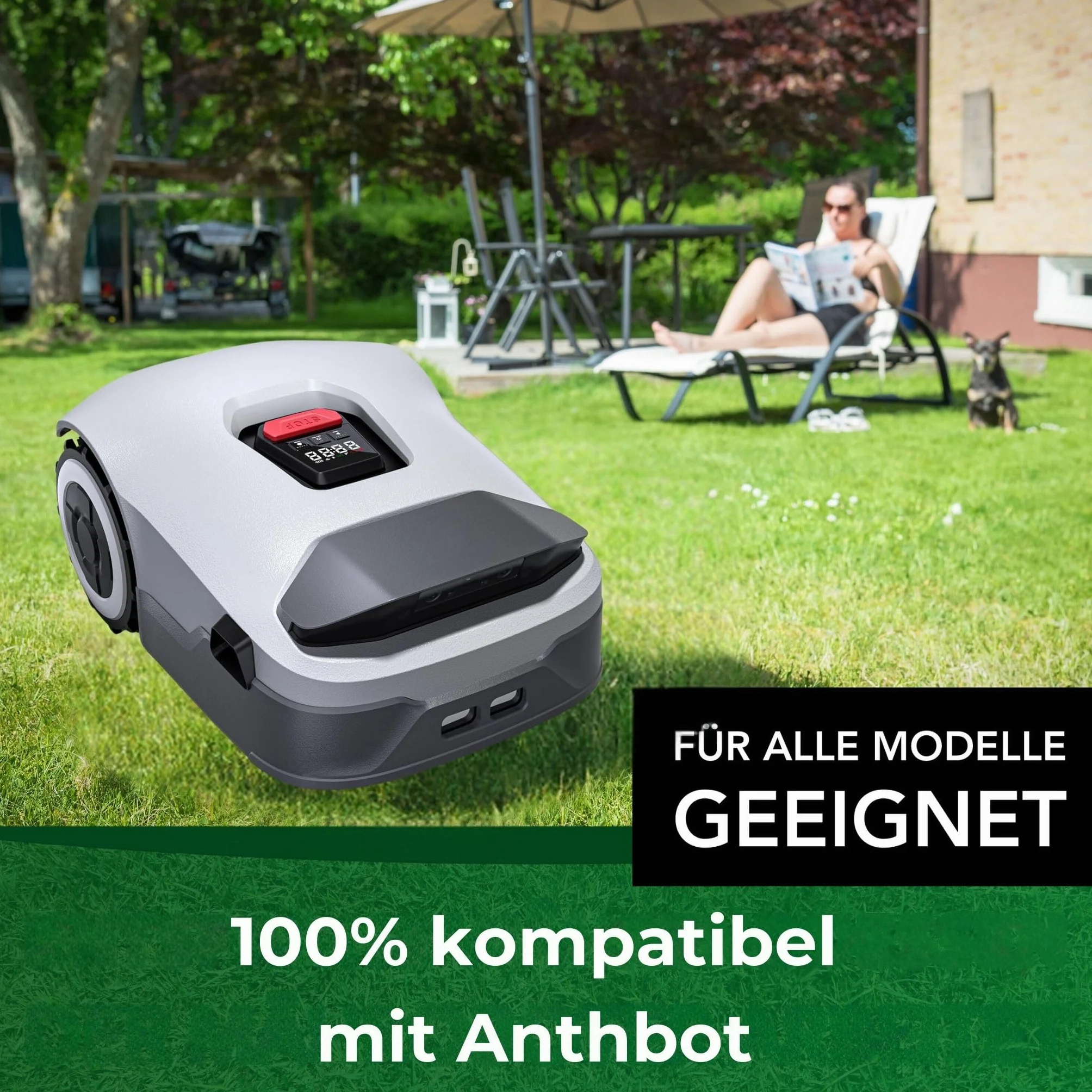 Genisys Wymienne noże kompatybilne z ostrzami Anthbot Pion Genie – stal nierdzewna LongLife – 1 otwór, odporny na pęknięcia [certyfikat DIN EN 50636], sztuka: 30