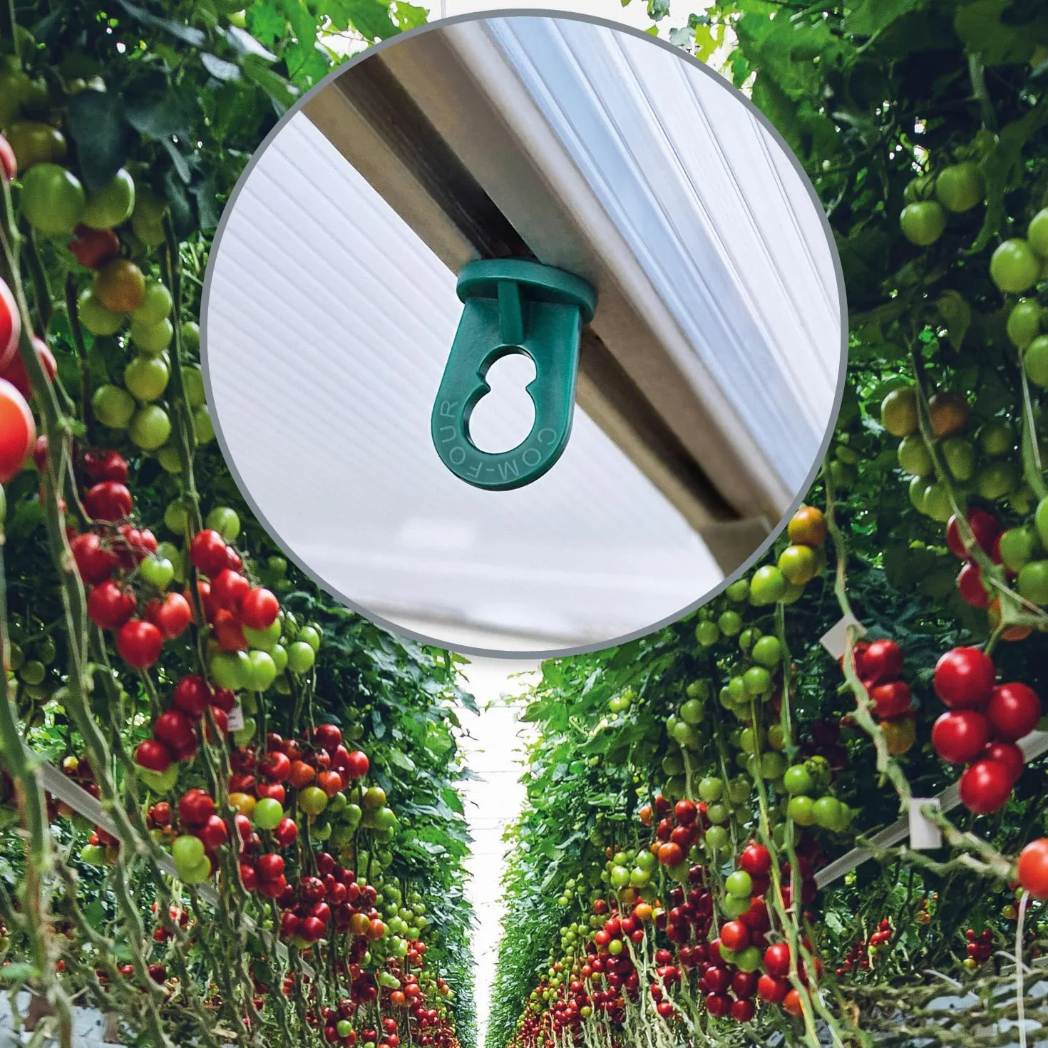 COM-FOUR® 50x klipsy szklarniowe - Stabilne uchwyty do roslin o duzej nosnosci - Urzadzenia do zawieszania szklarni i ogrodów zimowych - Oczka do szyn szklarniowych (050 klipsów - zielone)