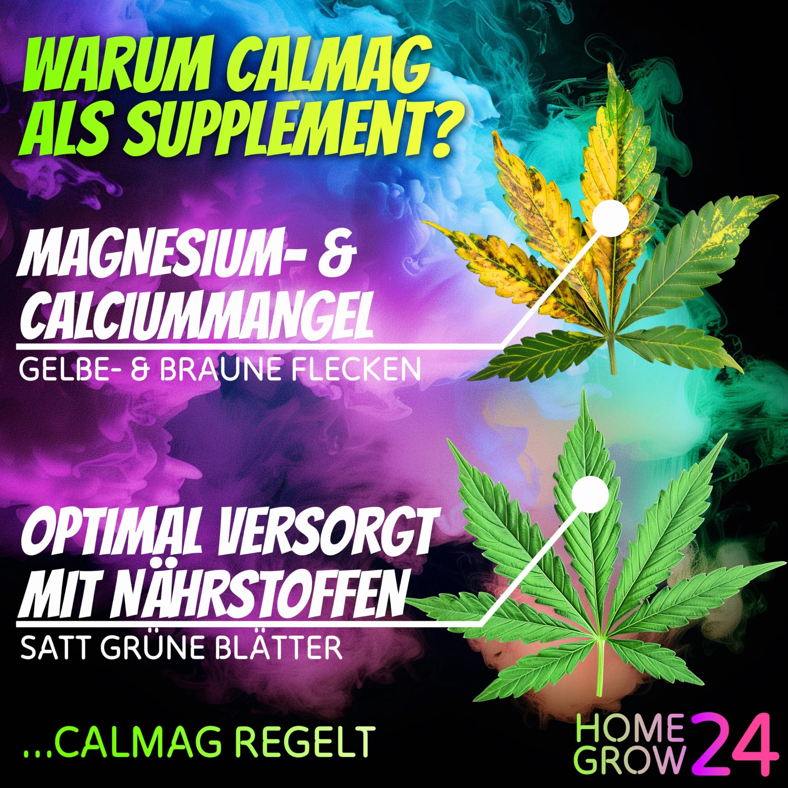 Homegrow24 Cannabis Trio Zestaw nawozów 3 x 500 ml