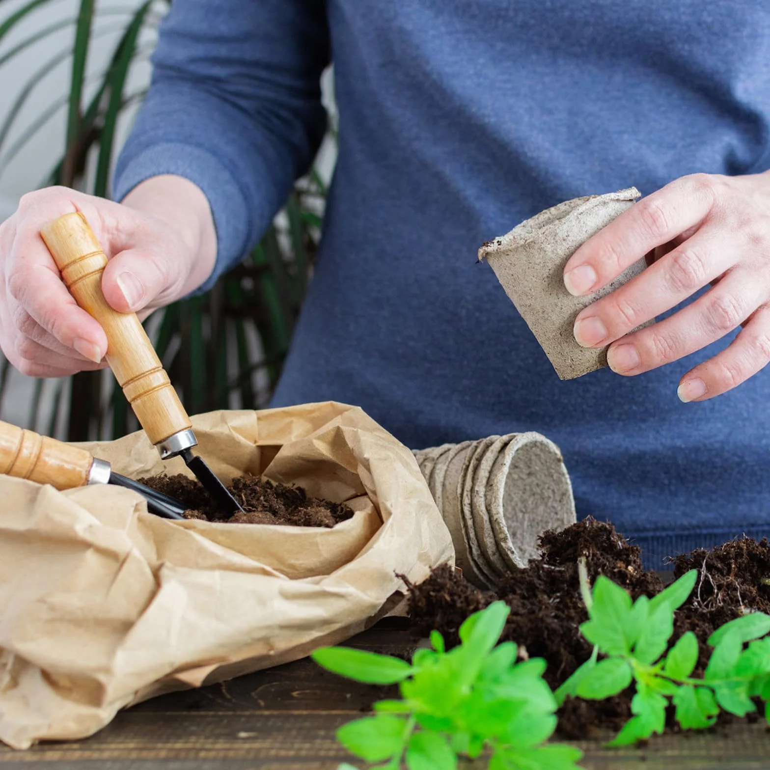 Nivofu 6-częściowy mini zestaw narzędzi ogrodniczych, do przesadzania sukulentów, do ogrodnictwa, do sadzenia alpejskiego, bonsai, roślin, kwiatów doniczkowych