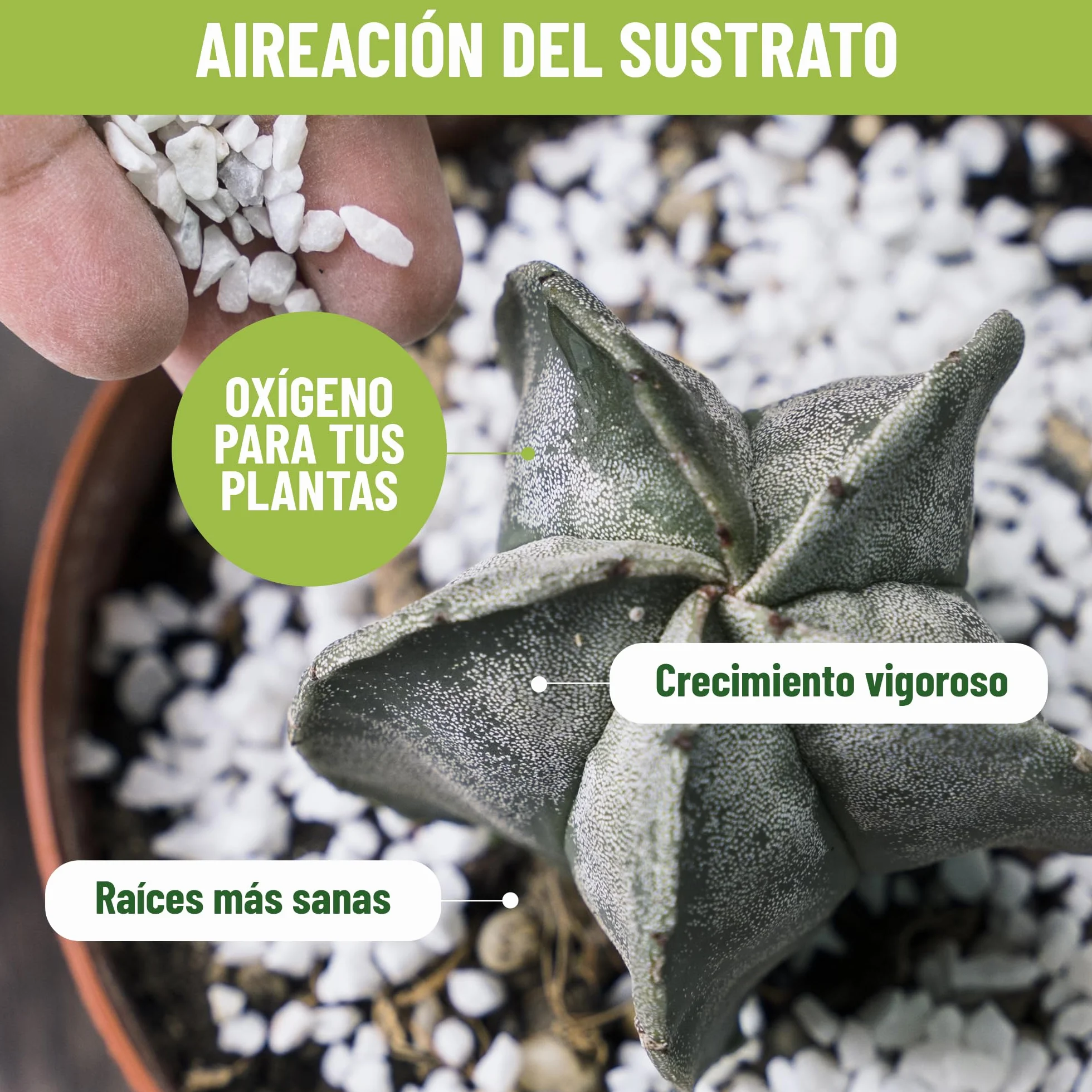 Garden Perlite 10 l ziemia do roślin wewnętrznych i zewnętrznych