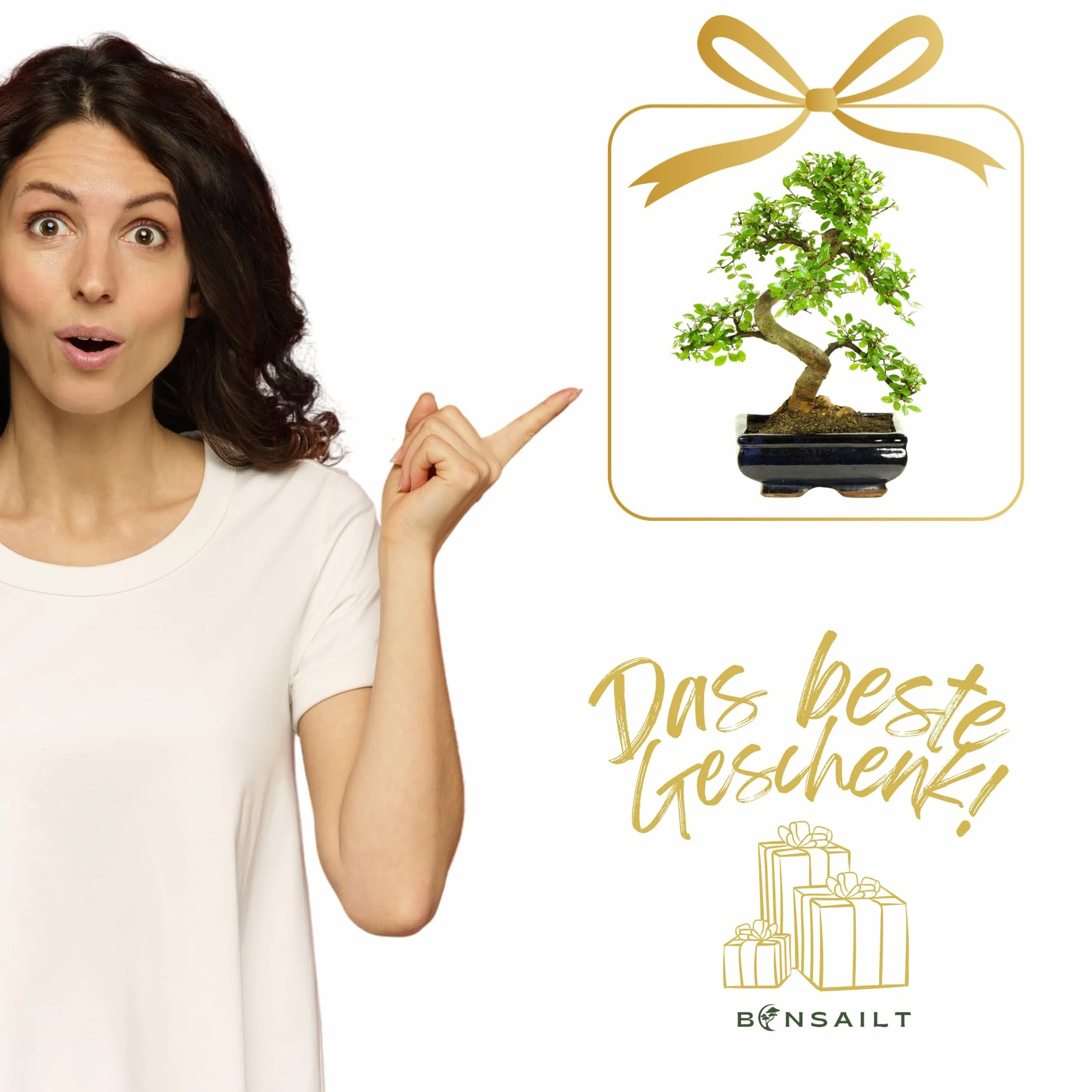 Bonsai z ceramicznym garnkiem Ligustrum Ficus Carmona Podocarpus Chiński wiąz 6-9 lat