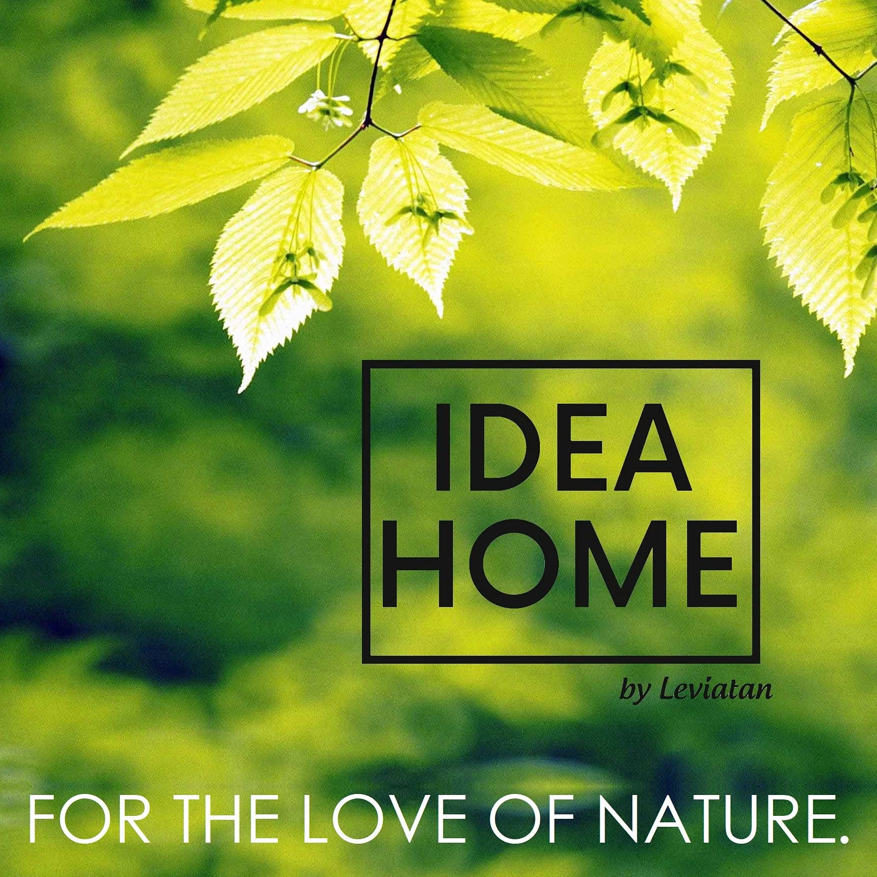 Leviatan IDEA HOME CHIROPTERA skrzynka na nietoperze z litego drewna