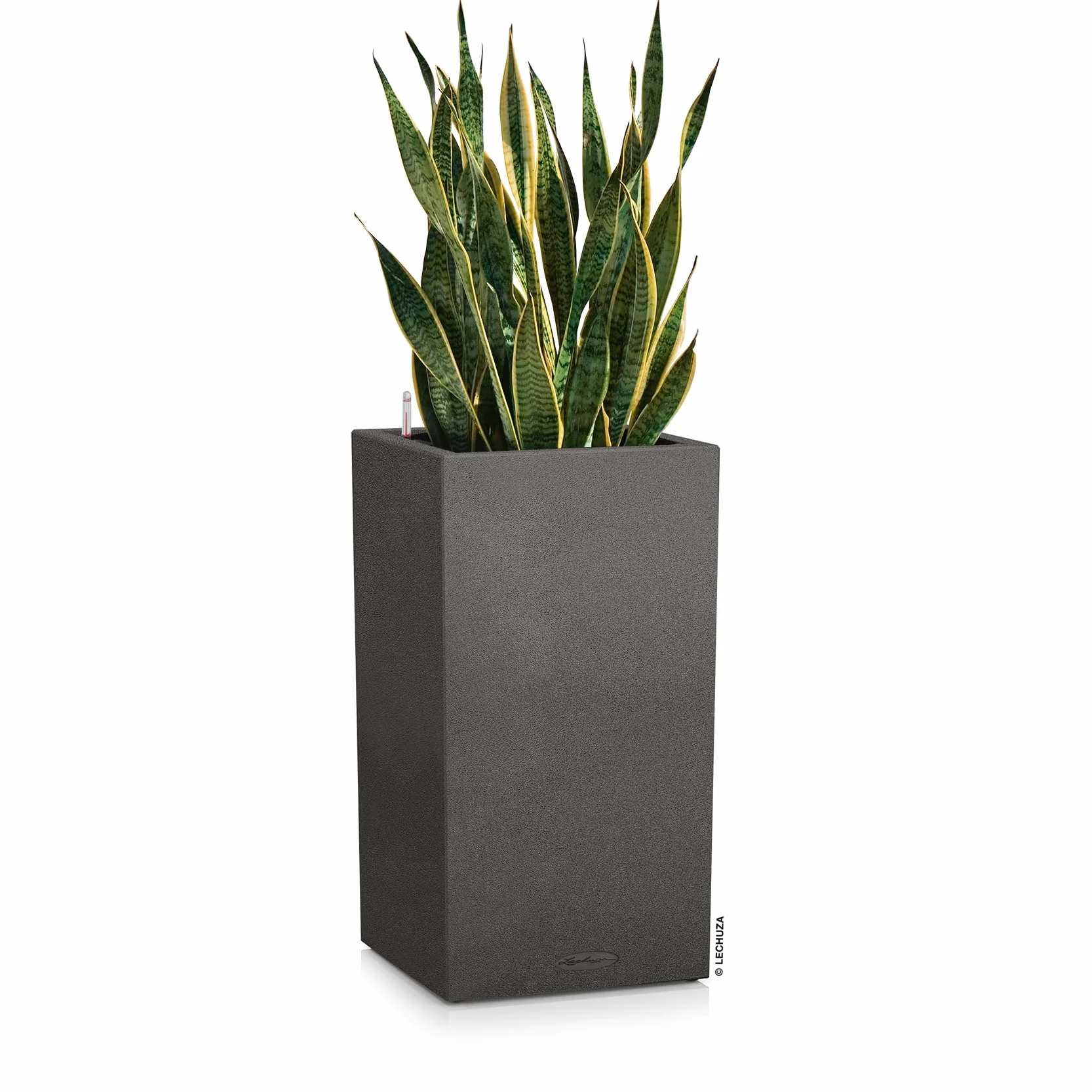 Lechuza Canto Donica Czarny 30x30x56 cm