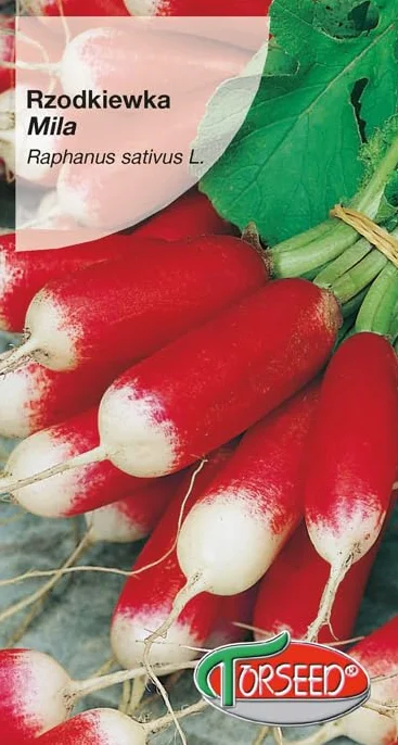 Nasiona rzodkiewki Raphanus sativus Mila 5 g – wczesna, łagodny smak, ekologiczna