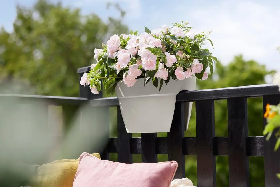 Elho Vibia Campana Flower Bridge 40 - Sadzarka na balkon i na zewnątrz - Ø 39,0 x wys. 22,0 cm - biały/jedwabny biały