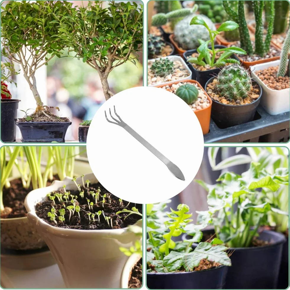 Haofy Bonsai Grabie Korzeń ze Stali Nierdzewnej 3-Oczka Narzędzia do Drzewa Ergonomiczny Uchwyt