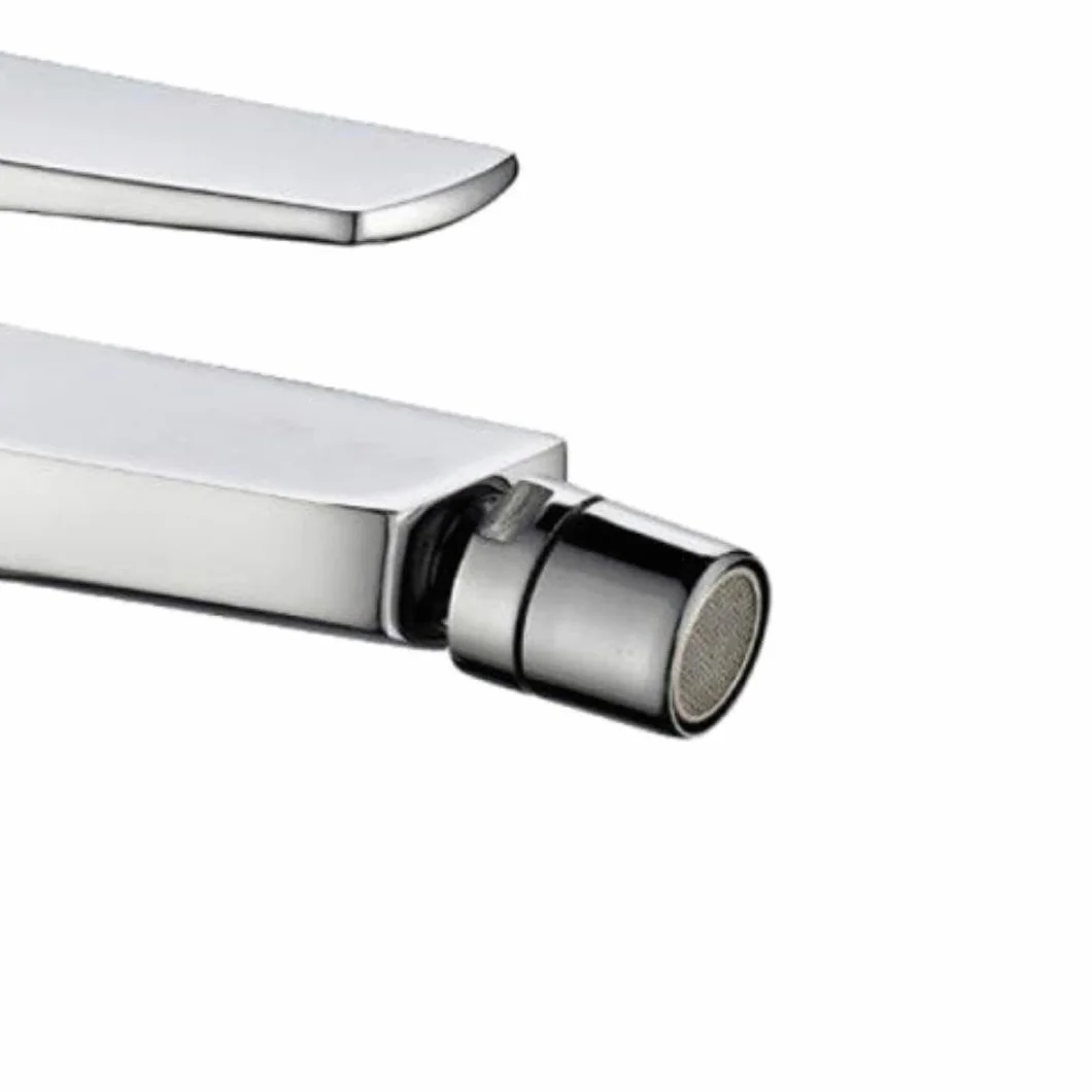 Bidet Bateria Bateria Chromowana Łazienka Dom