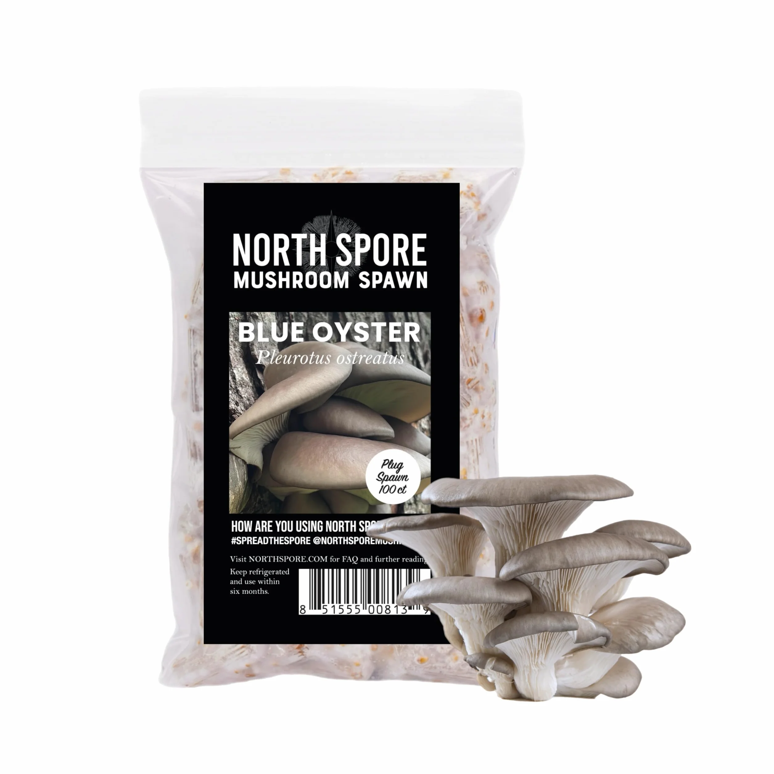 North Spore Zestaw do szczepień kłód | 100 ct Shiitake, lwa grzyba i niebieska ostryga | wosk, koziołki, wiertło, do uprawy grzybów na kłodach zewnętrznych, najwyższej jakości grzybów, ręcznie robione