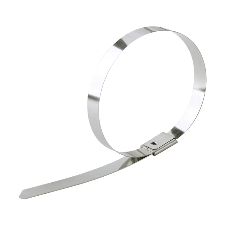 metalowe opaski kablowe, Około 10 sztuk samoblokujących metalowych opasek zaciskowych 7,9 mm wielofunkcyjnych ze stali nierdzewnej 304(100mm)