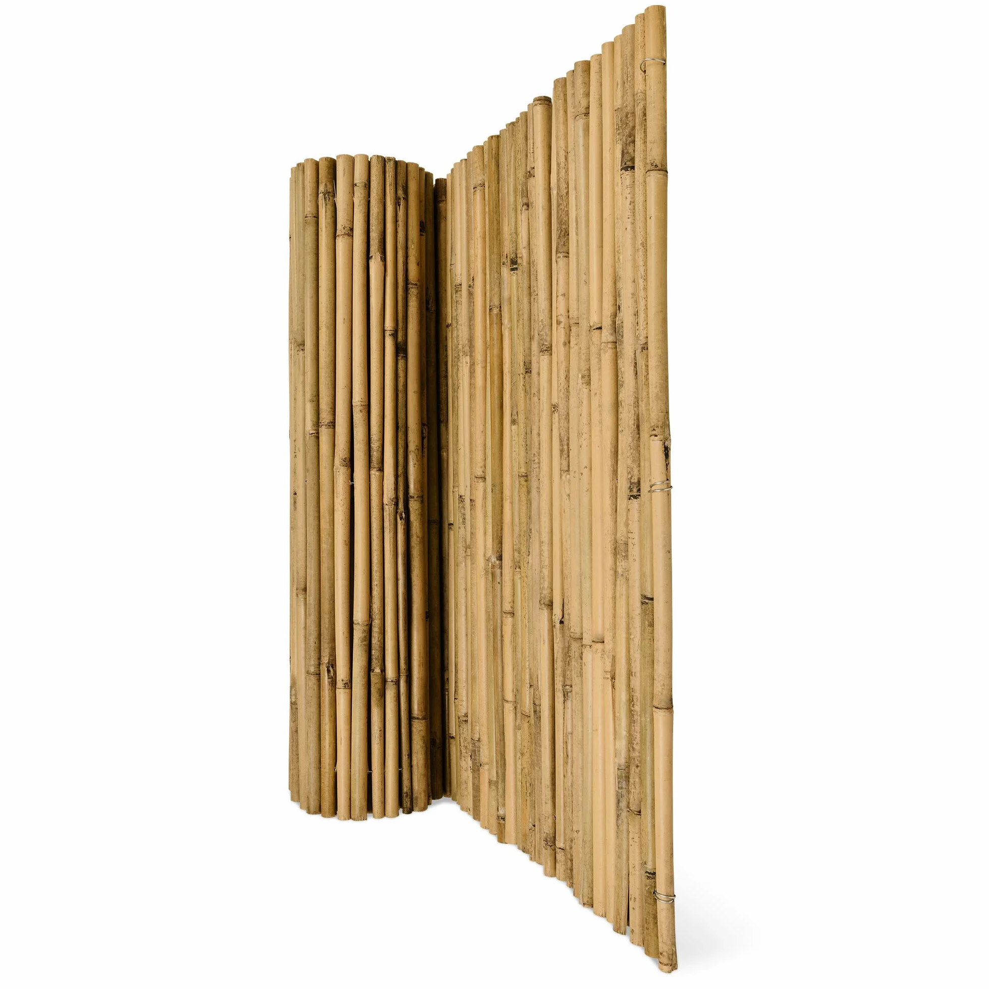 Sol Royal Ogrodowy parawan z bambusa SolVision B38 100x250cm Naturalna ścianka Mata ogrodowa Ochrona przed wiatrem i słońcem