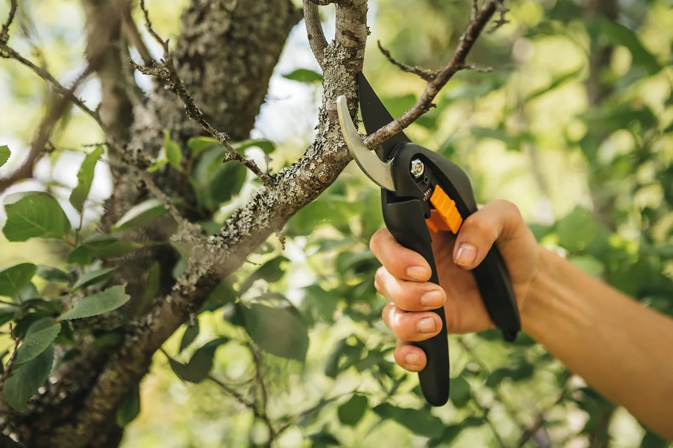 Fiskars Singlestep Sekator Ogrodniczy 20 cm Czarny