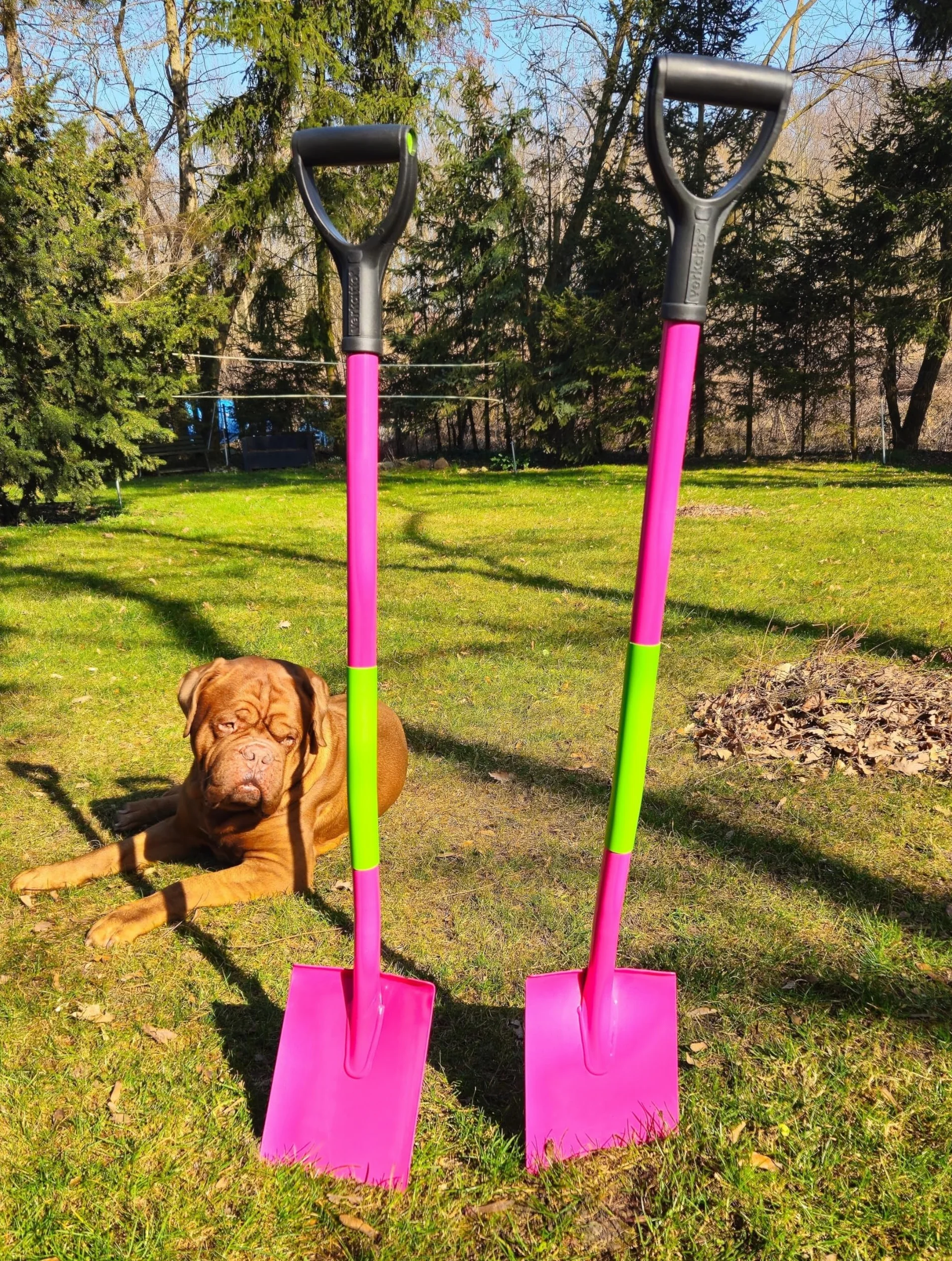 Mivos Ergonomiczny szpadel spiczasty ogrodowy z hartowanej stali borowej - 115 cm - Różowy - Szpadel ogrodniczy z ergonomicznym trzonkiem - Lekki i wygodny - Wyprodukowano w Polsce