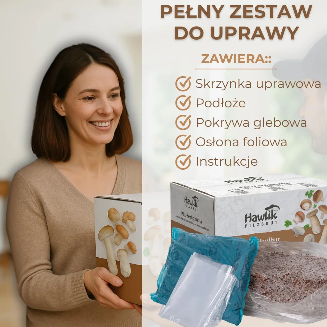 Hawlik Pilzbrut Grzybnia Duży zestaw do uprawy grzybów białych