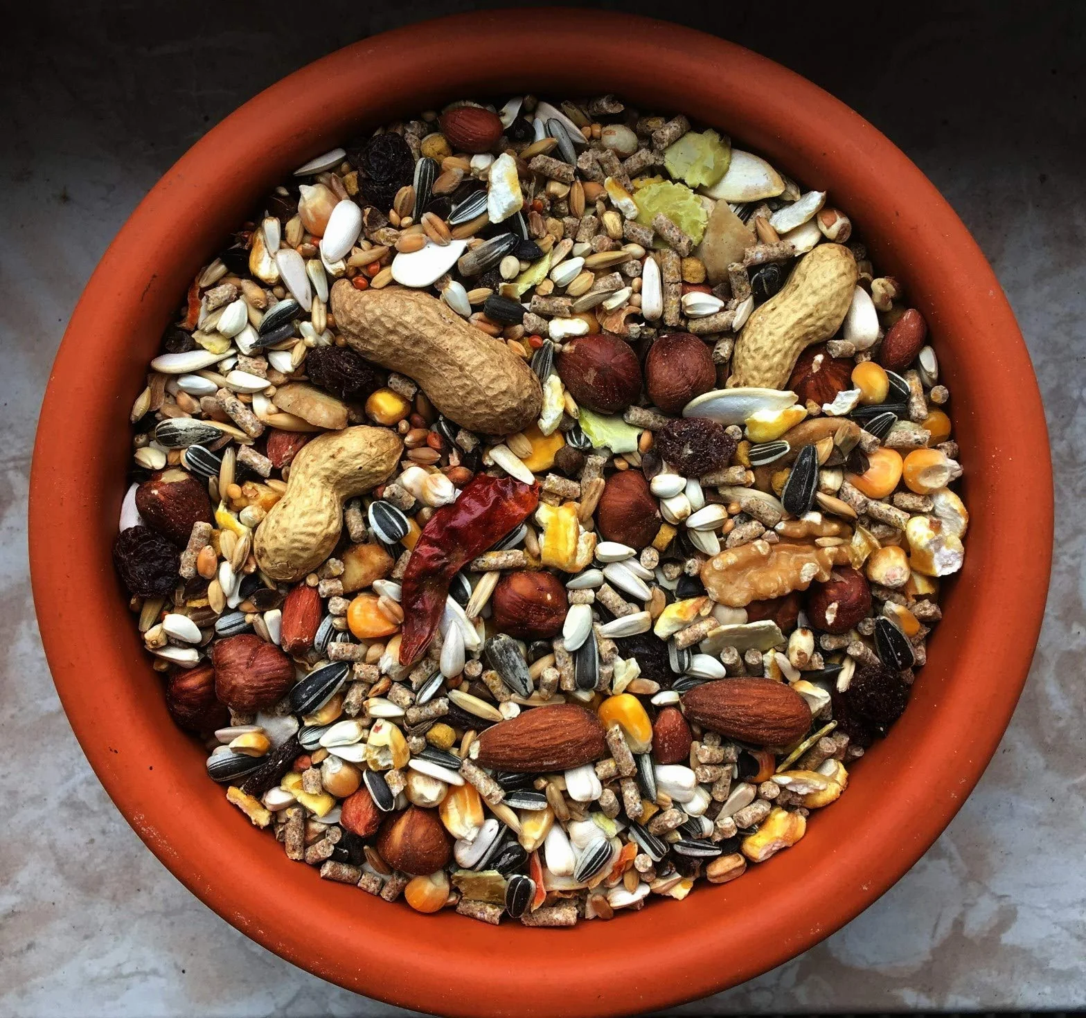 Karma dla wiewiórek klasy premium, 25 kg, najwyższa klasa, karma dla wiewiórek
