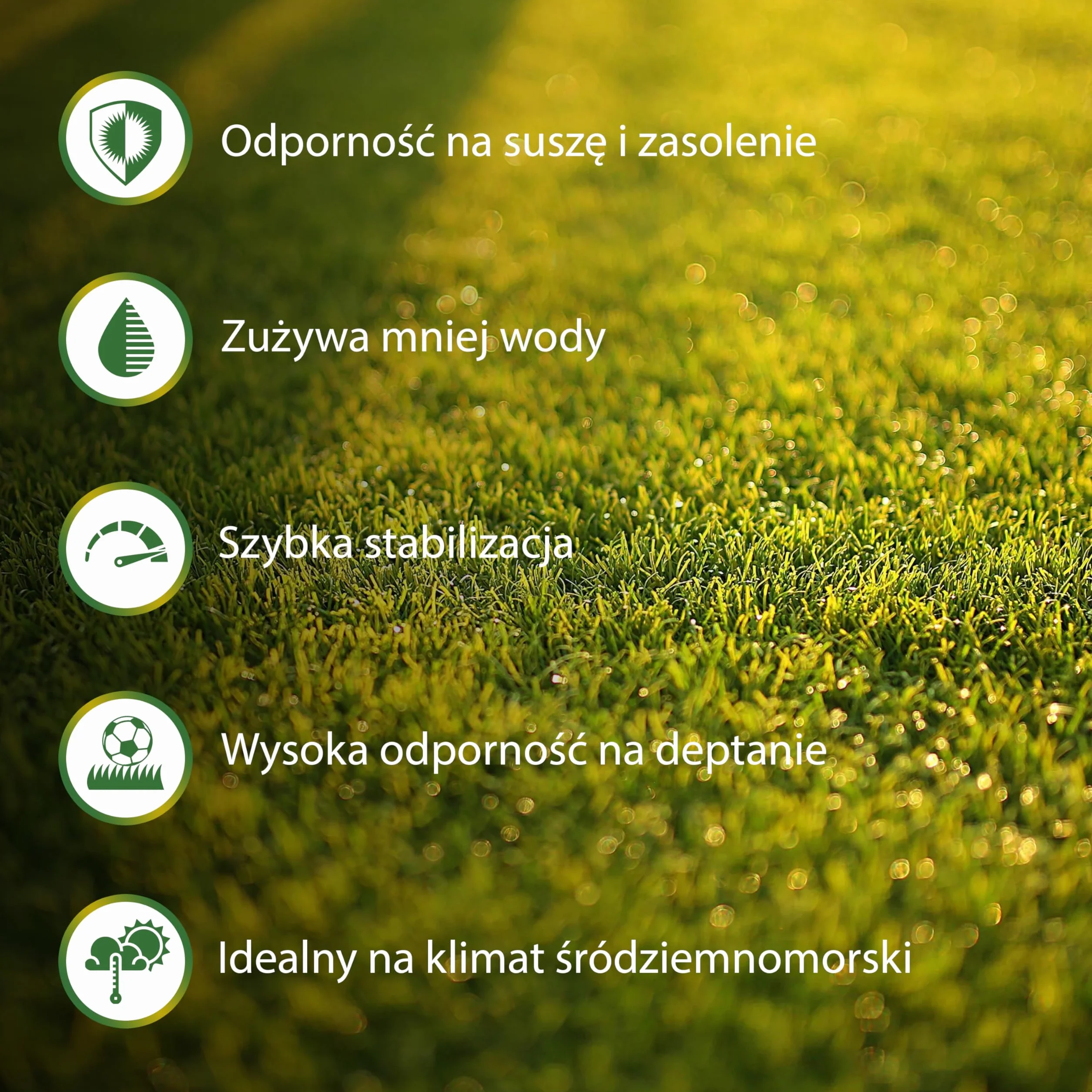 LERAVA Nasiona trawnika Cynodon dactylon (500 g) - Na 50 m² - Deptany i odporne na suszę - Idealne do trawników śródziemnomorskich i nadmorskich - Zużywa do 20% mniej wody - Made in Italy