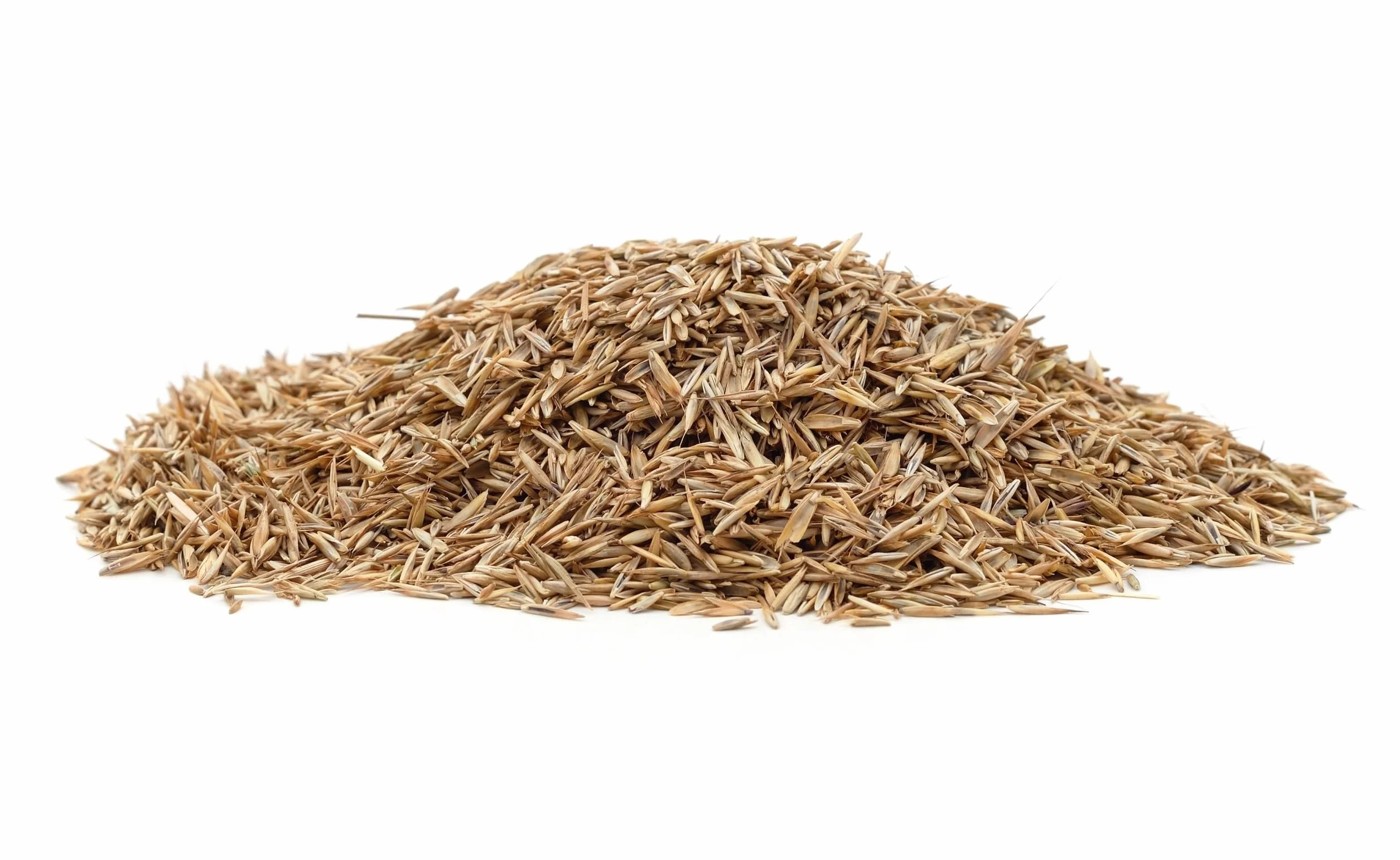 Trawa z Mikrokoniczyną - Samonawożąca, Odporna na Suszę - Poradnik pielęgnacji tawnika (5 kg)